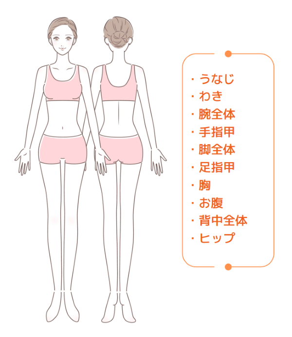 うなじ・わき・腕全体・手指甲・脚全体・足指甲・胸・お腹・背中全体・ヒップ