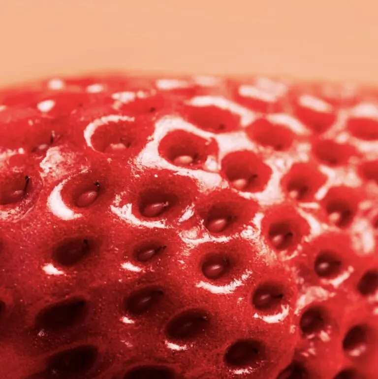 脱毛しているのに毛穴が目立つ人の共通点